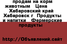 продам на корм животным › Цена ­ 15 - Хабаровский край, Хабаровск г. Продукты и напитки » Фермерские продукты   